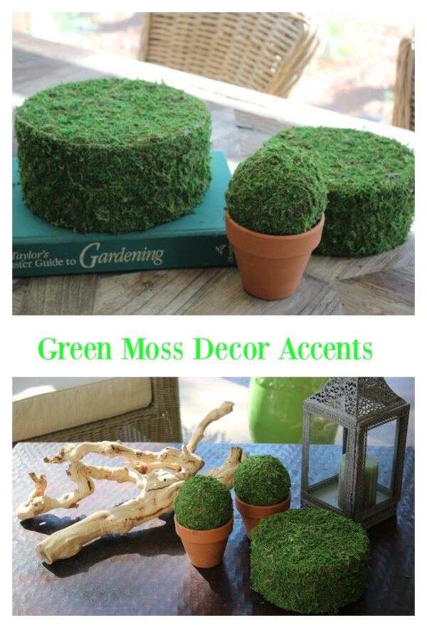 DIY Moss Covered Decor Ideas For Spring - Simple Nature Decor