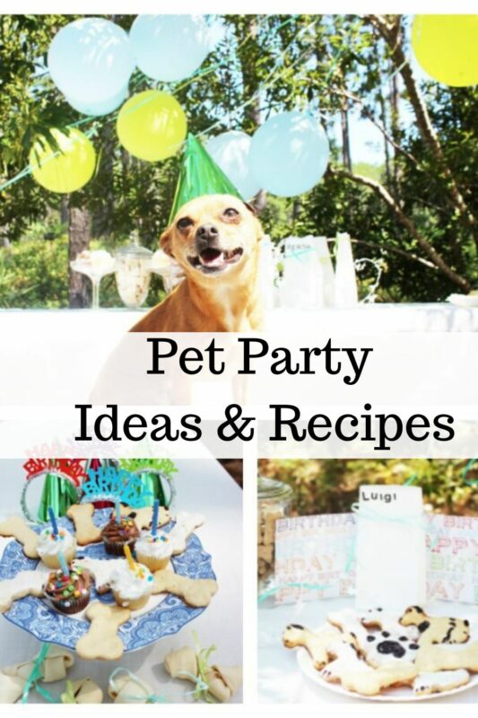 5 Cute Ideas in Celebrating Your Pet's Birthday Party