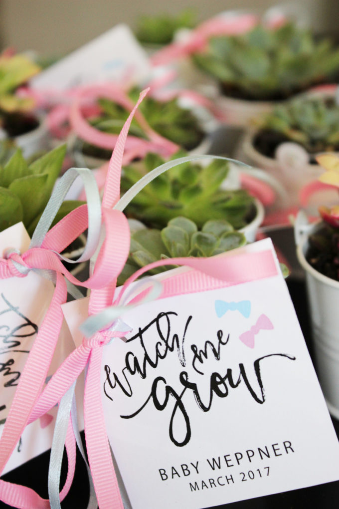 WATCH ME GROW PARTY FAVORS DIY Simple Nature Decor