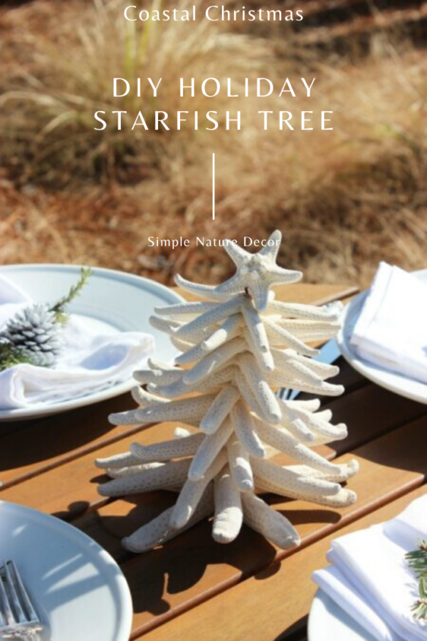 How to Preserve a Starfish for a Decoration: 11 Steps