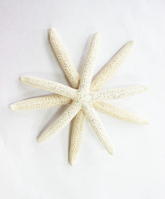 DIY Starfish Santa Craft