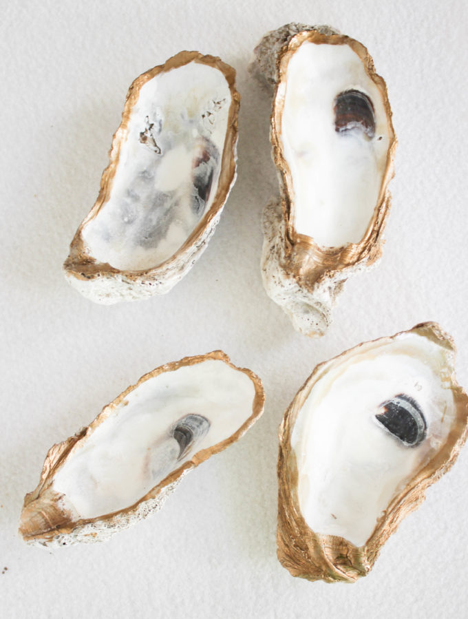 How To Paint Oyster Shells Gold Perfect For Party Decor