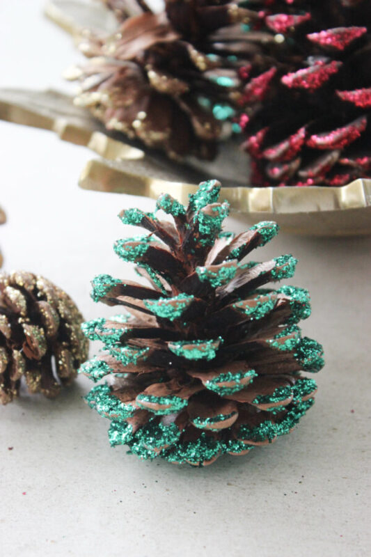 Painted Pine Cone Craft Ideas You Can To Do This Winter