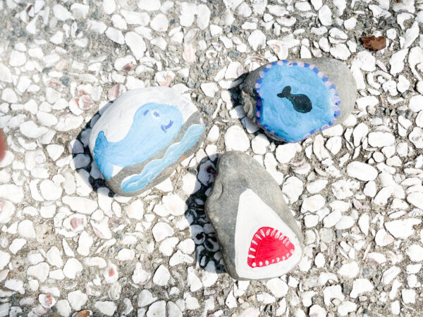 6 Easy Places to Buy Rocks to Paint