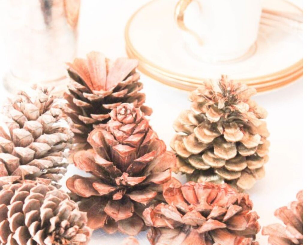 DIY Painted Pine Cones - Two Sisters