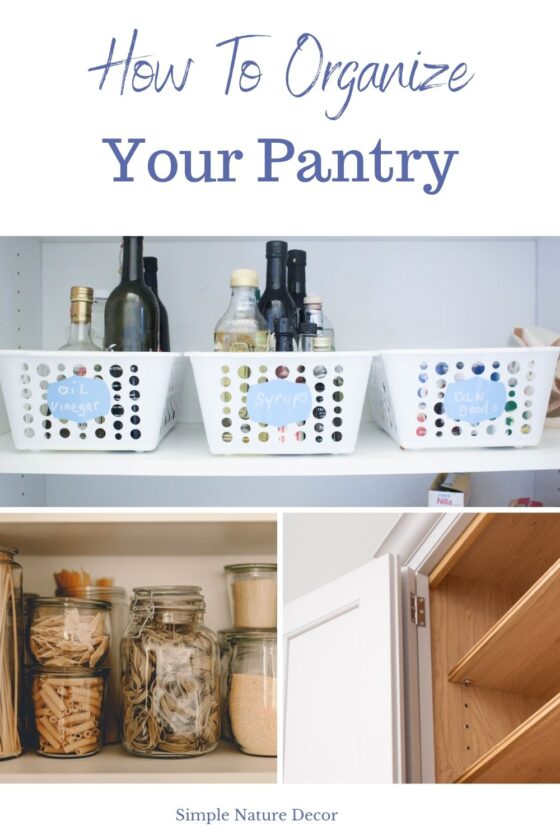 Dollar Tree Storage Containers Ideas For Organizing Pantry