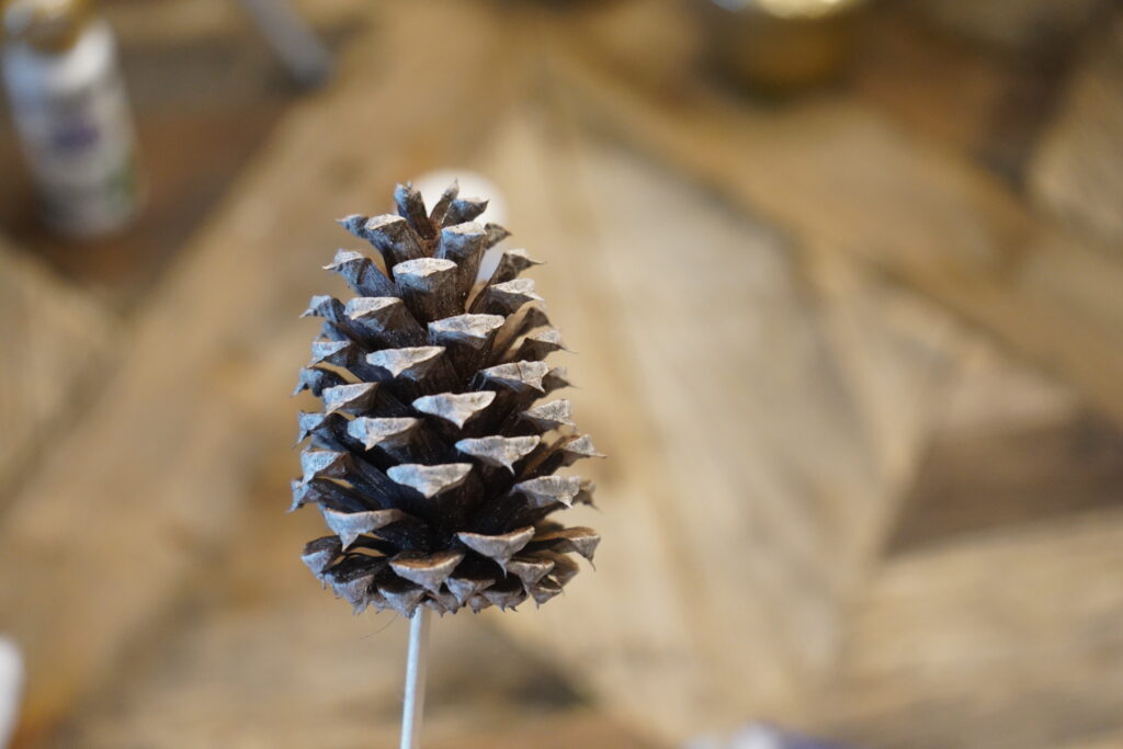 How To Make Pine Cone Flowers Painted