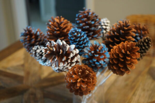 2 in White Coated Pine Cone
